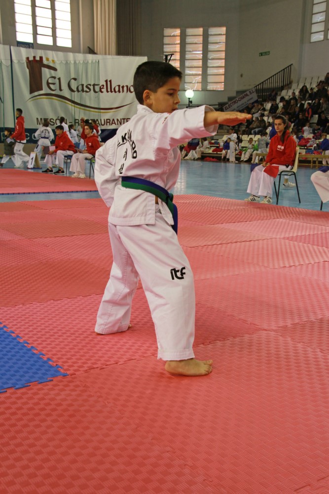 Taekwondo Dic 2016 (105).jpg